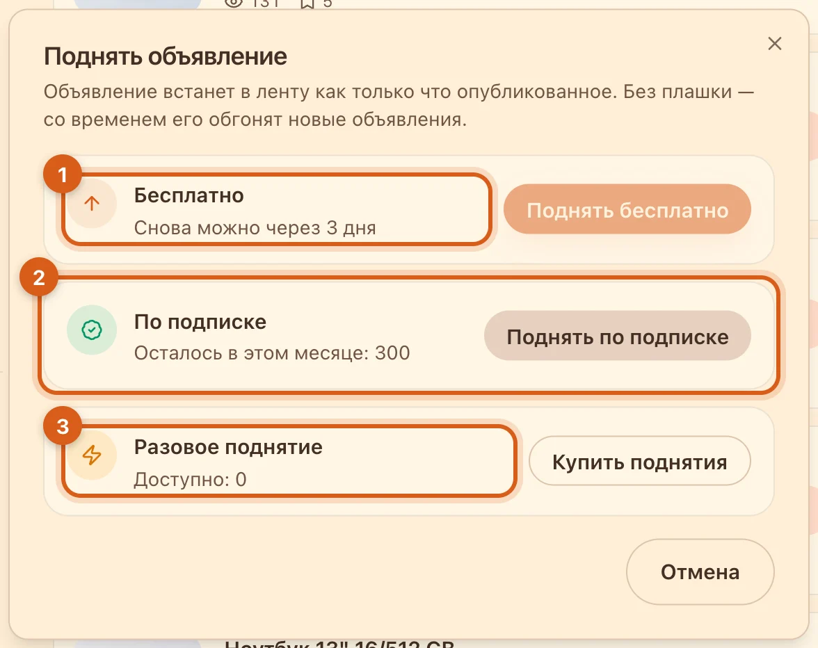 Окно «Поднять объявление»